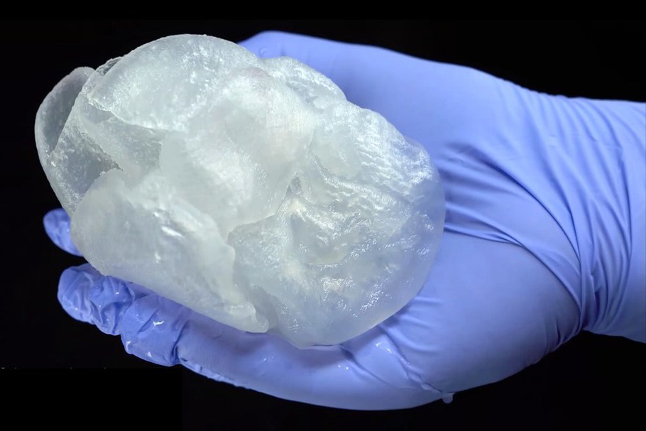 Prof. Adam Feinberg and his team have created the first full-size 3D bioprinted human heart model using their Freeform Reversible Embedding of Suspended Hydrogels (FRESH) technique. 